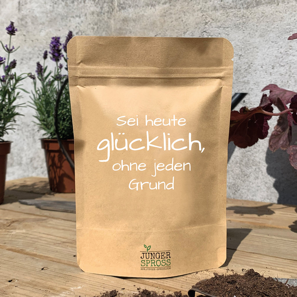 Mini Garten "Sei heute Glücklich" Oregano
