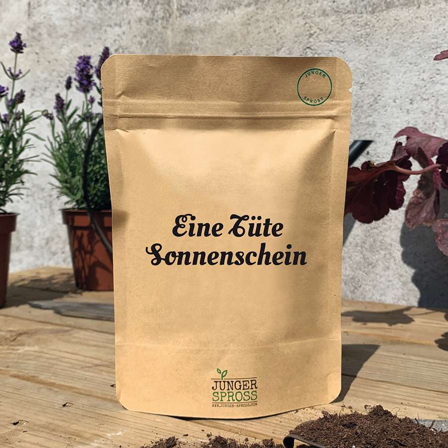 Mini Garten "Eine Tüte Sonnenschein" Sonnenblume