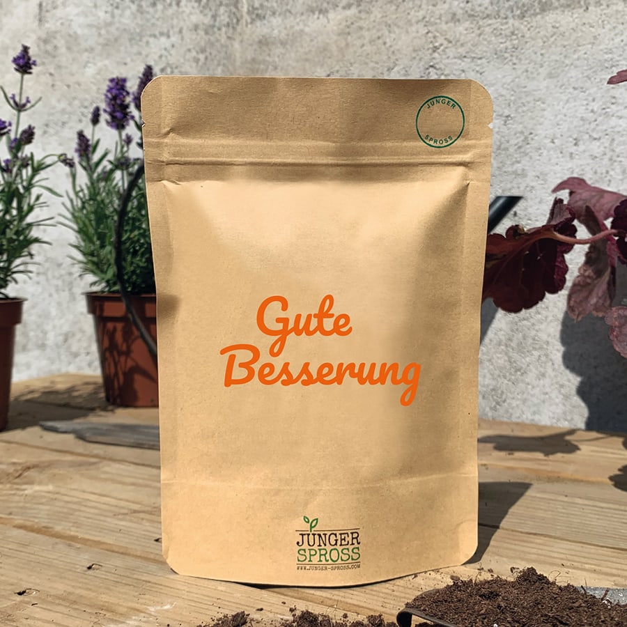 Mini Garten "Gute Besserung" Thymian