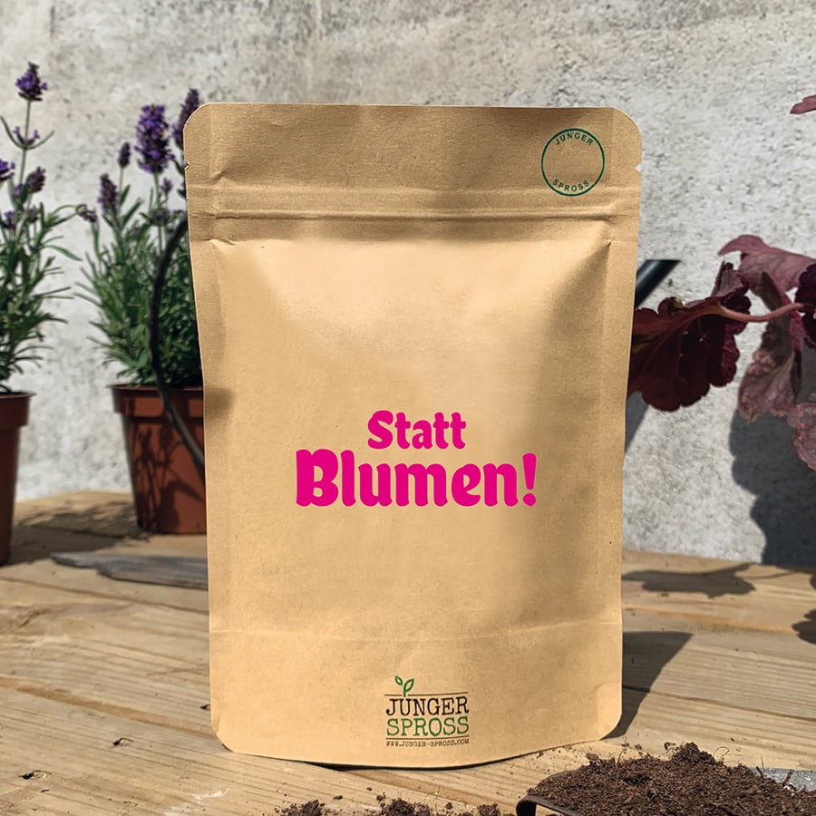 Mini Garten "Statt Blumen" Petersilie