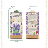 Mini Garten "Lavendel"