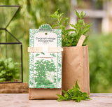 Mini Garten "Cocktail-Minze"