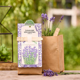 Mini Garten "Lavendel"