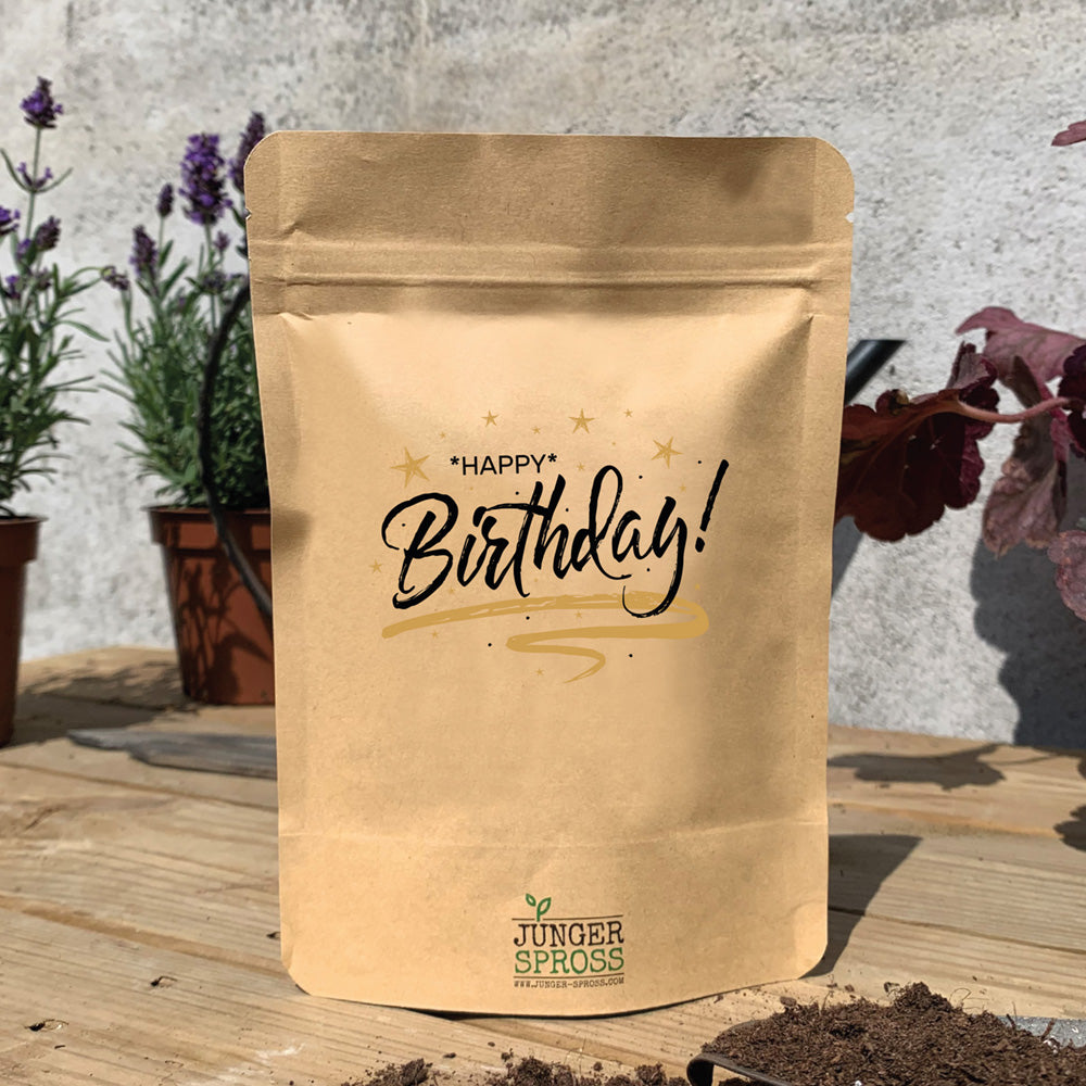 Mini Garten "Happy Birthday" Basilikum