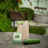Mini Garten "Gurke"