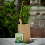 Mini Garten "Rosmarin"