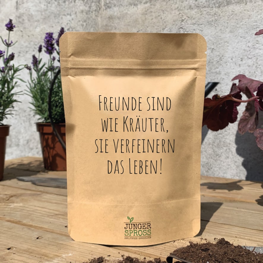 Mini Garten "Freunde sind wie Kräuter" Oregano